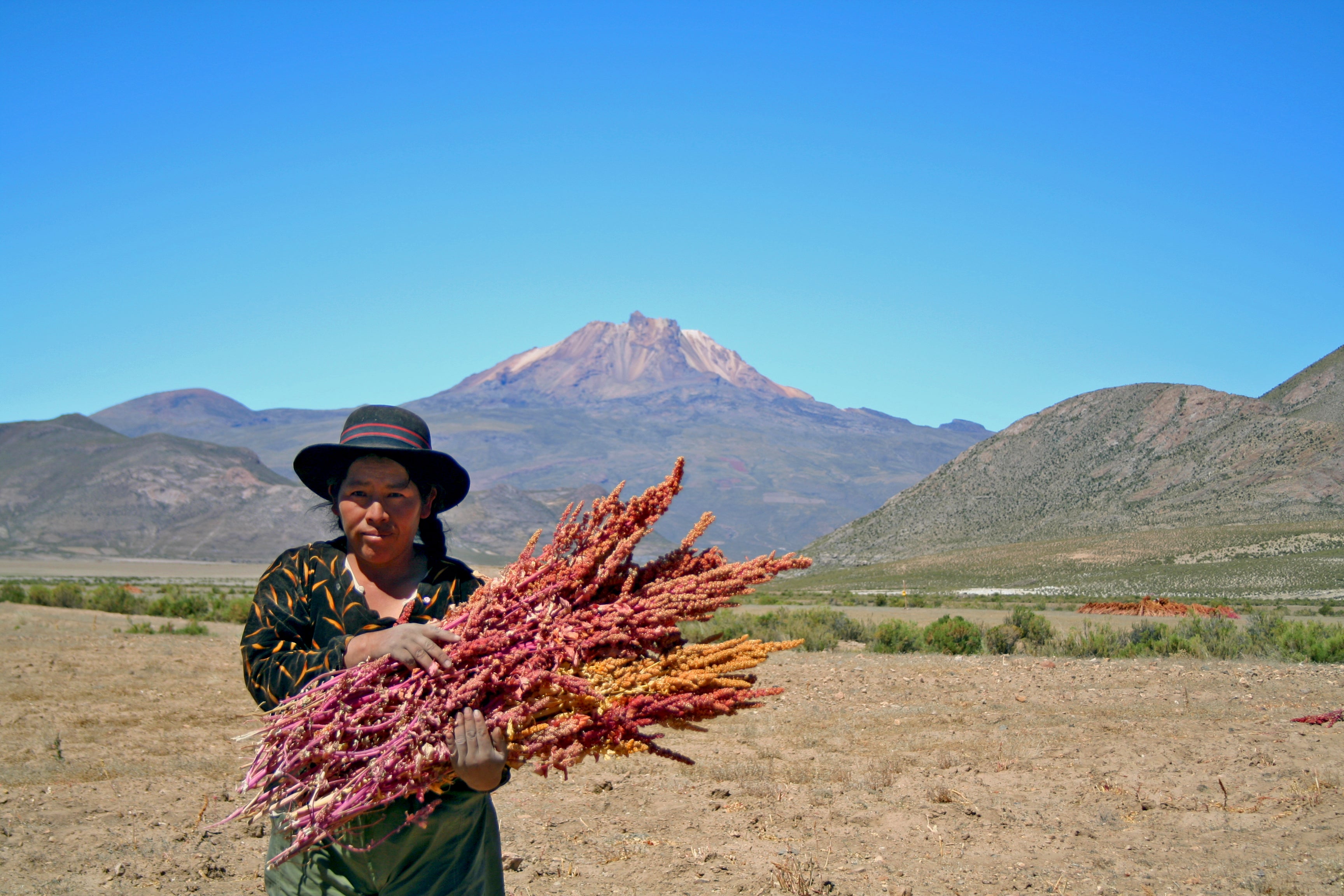 a Bolivian woman standing in the Quinoa fields