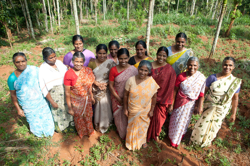 Fair Trade Coconut Oil: the story behind the creaminess of Alter Eco truffles