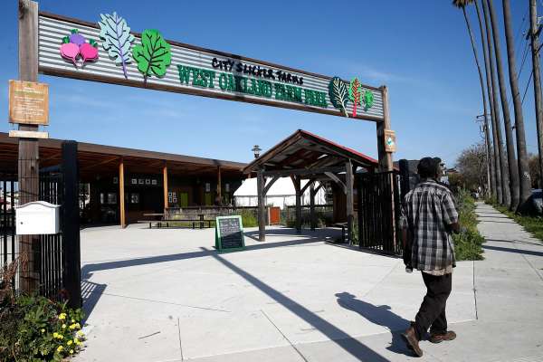 Alter Eco Volunteers with City Slickers! – Alter Eco Foods