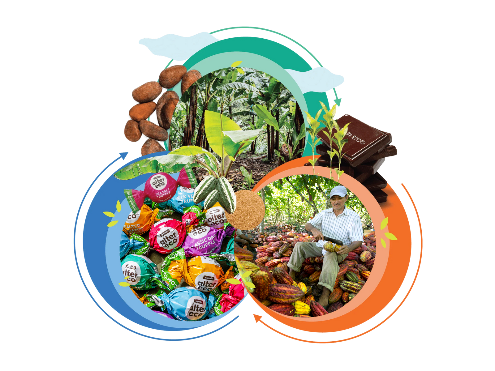 Graphic showing the circle of sustainability at Alter Eco