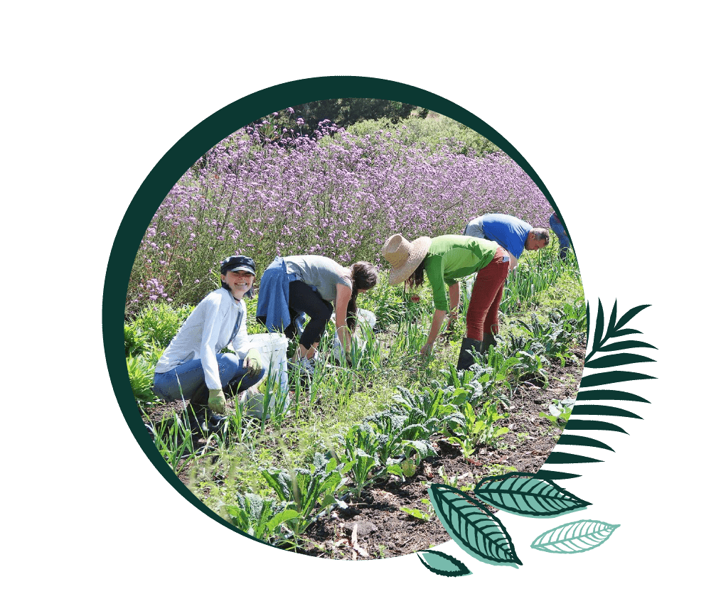 alter eco team working in the fields