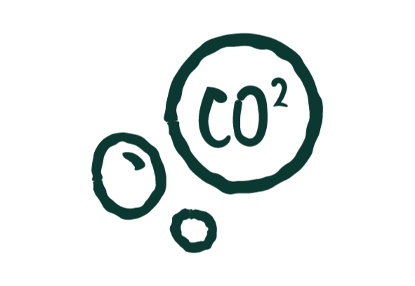 carbon neutral icon