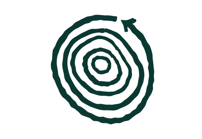 regenerative forestry icon