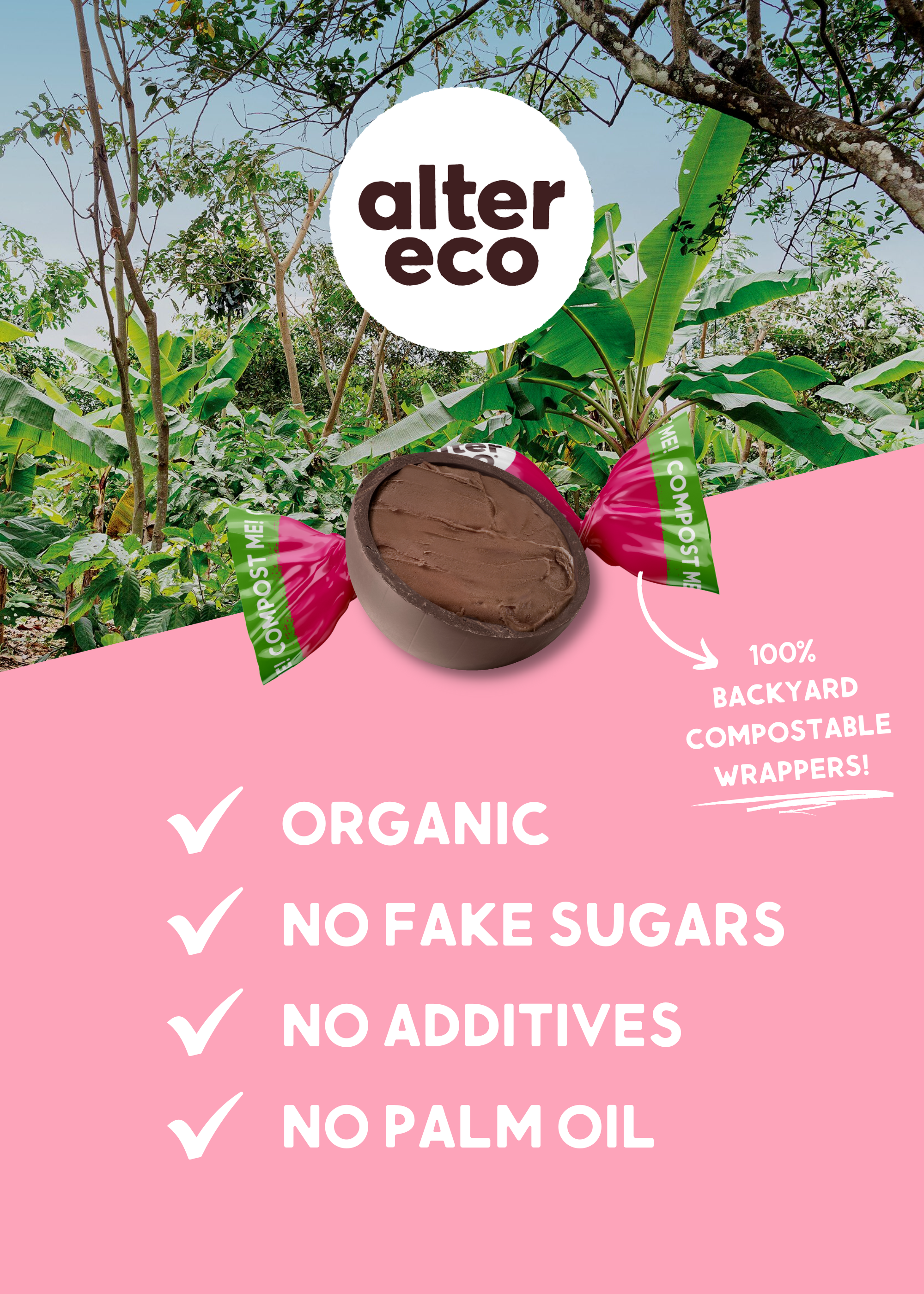Alter Eco Chocolate Silk Velvet Truffles - 60 count – Healthy Snack  Solutions