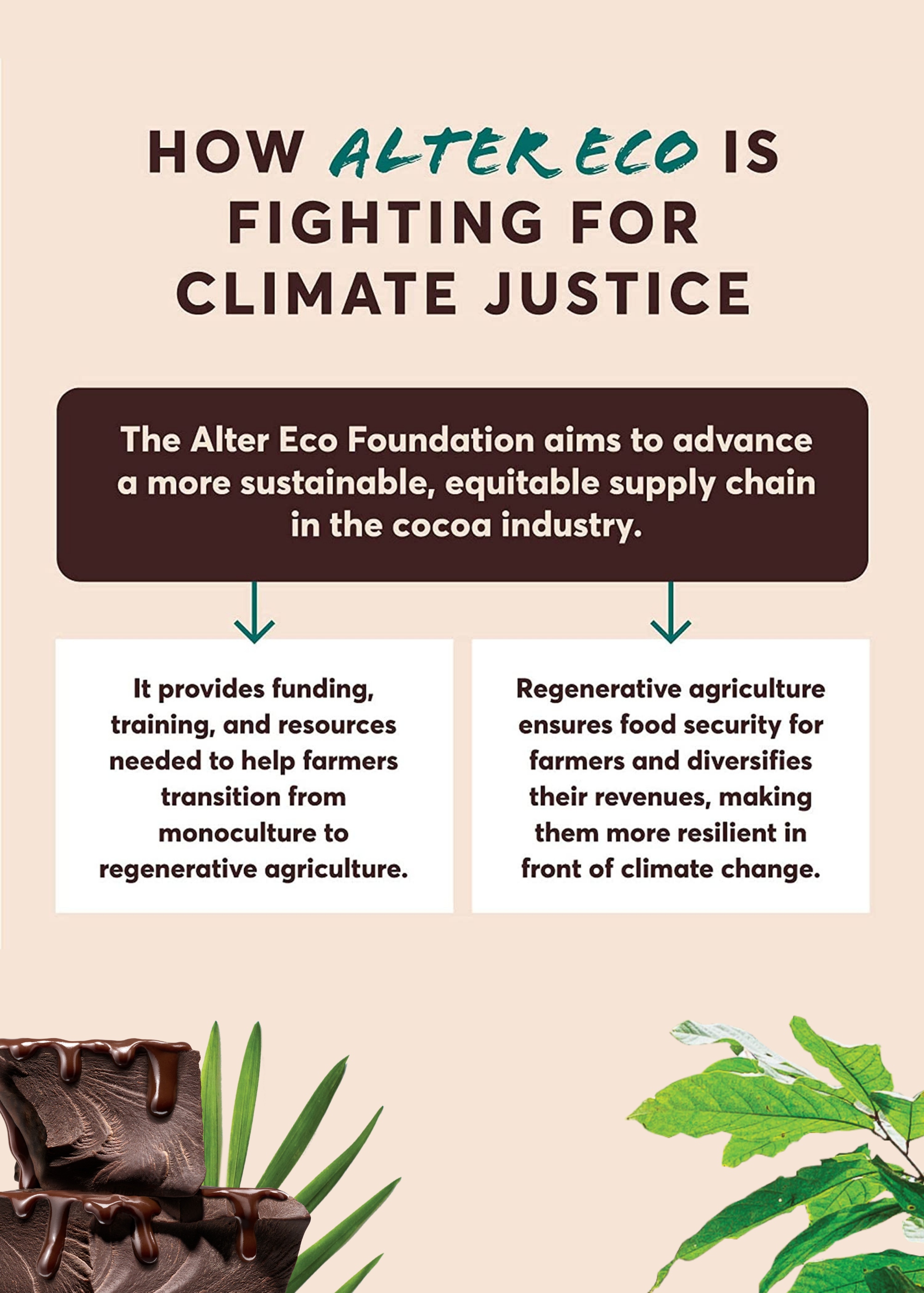 Alter Eco | Chocolate Bars | Pure Dark Cocoa, Fair Trade, Organic, Non-GMO,  Gluten Free (12-Pack Super Blackout)